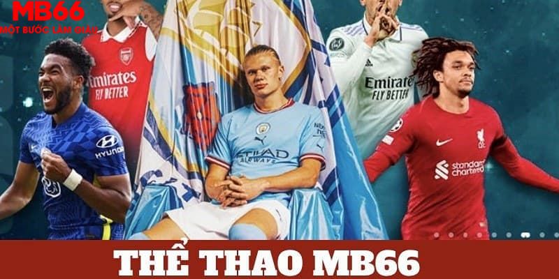 kimsa bản tình ca mùa đông