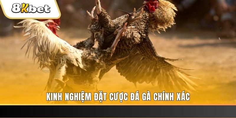 kimsa xổ số thứ bảy hàng tuần