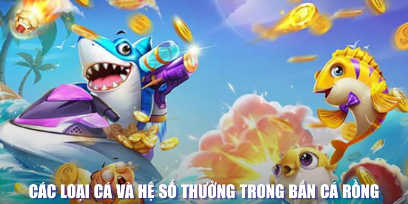 kimsa đăng nhập lô đề tặng tiền