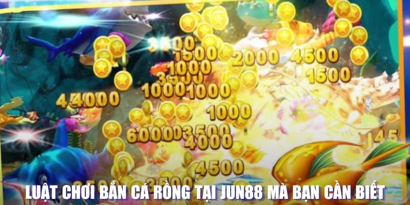 kimsa xổ số đài hà nội