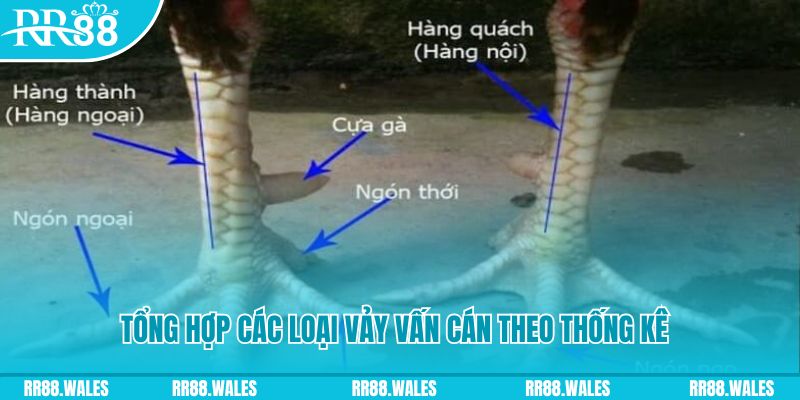 kimsa xổ số miền nam thứ sáu