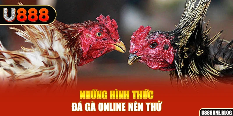 kimsa nổ hũ ai là gì