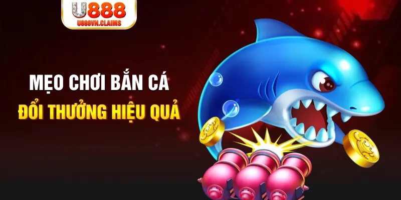 kimsa gà chọi cam ranh