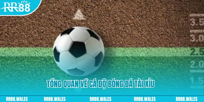 đăng nhập roulette online