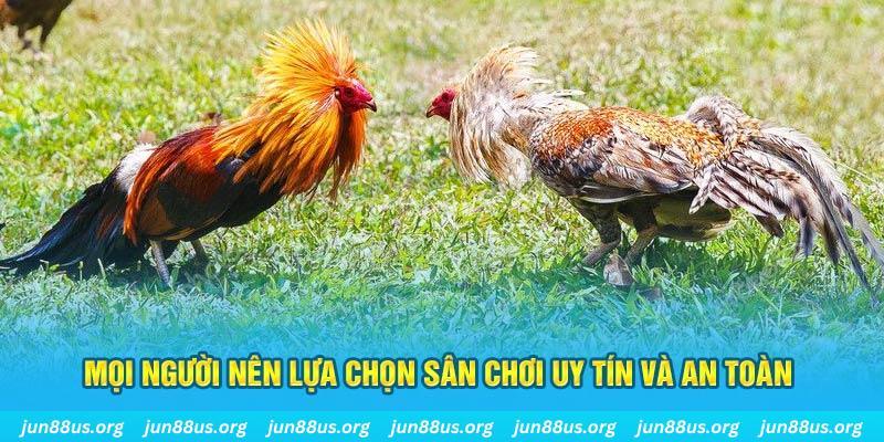 kimsa Cỡ bảy