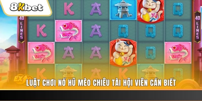 kimsa gà chọi cu cần