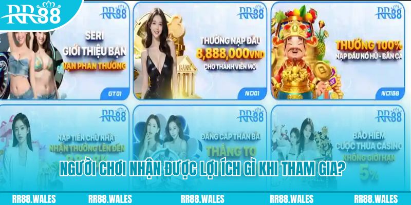 kimsa game máy bay cá cược