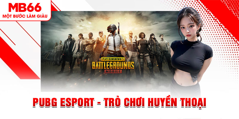 kimsa casino online là gì
