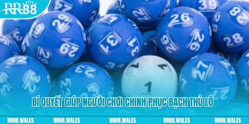 kimsa nohu .mx nổ hũ là gì