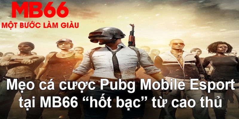 kimsa đăng nhập nổ hũ mới nhất