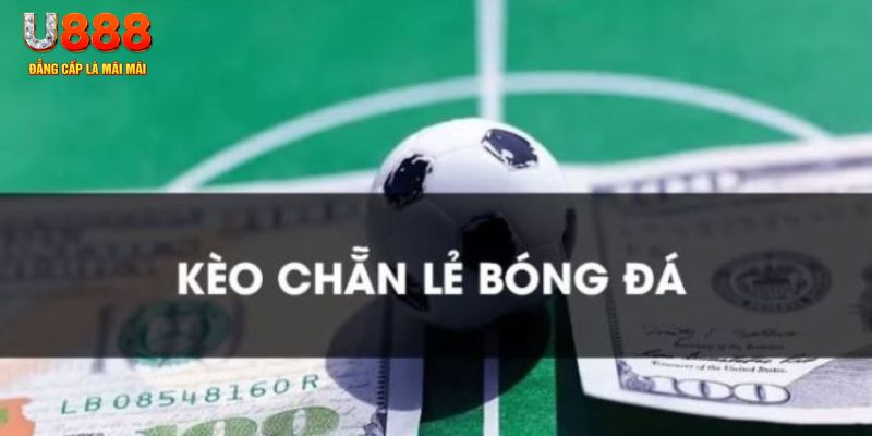kimsa gà chọi c1.tv