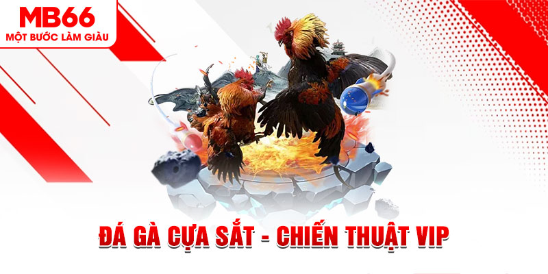 kimsa ai tool nổ hũ