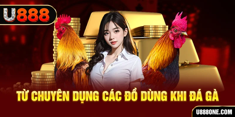 kimsa đá gà trực tiếp campuchia